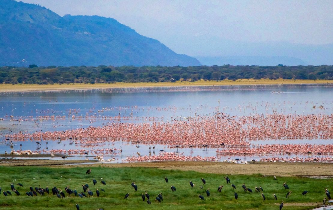 3-Days Lake Manyara, Tarangire National Park  and Ngorongoro Crater 