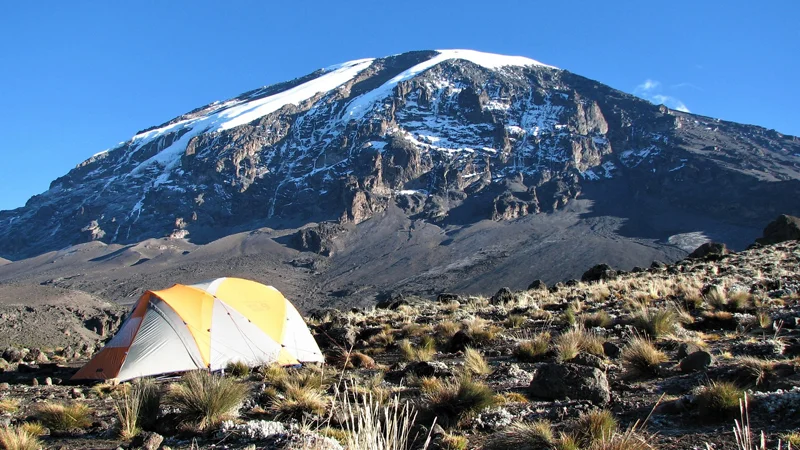6 Day Kilimanjaro Trekking Umbwe Route