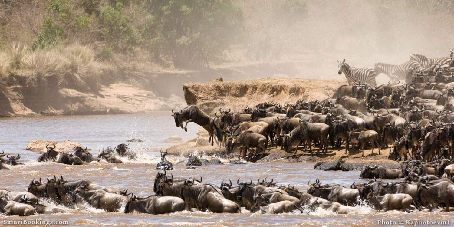 6 Day Serengeti Wildebeest Migration Safari