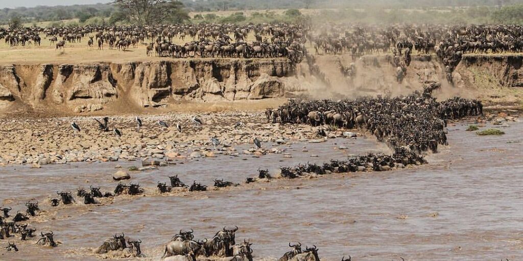 6-Days Lake Eyasi, Tarangire, Serengeti National Park  & Ngorongoro Crater