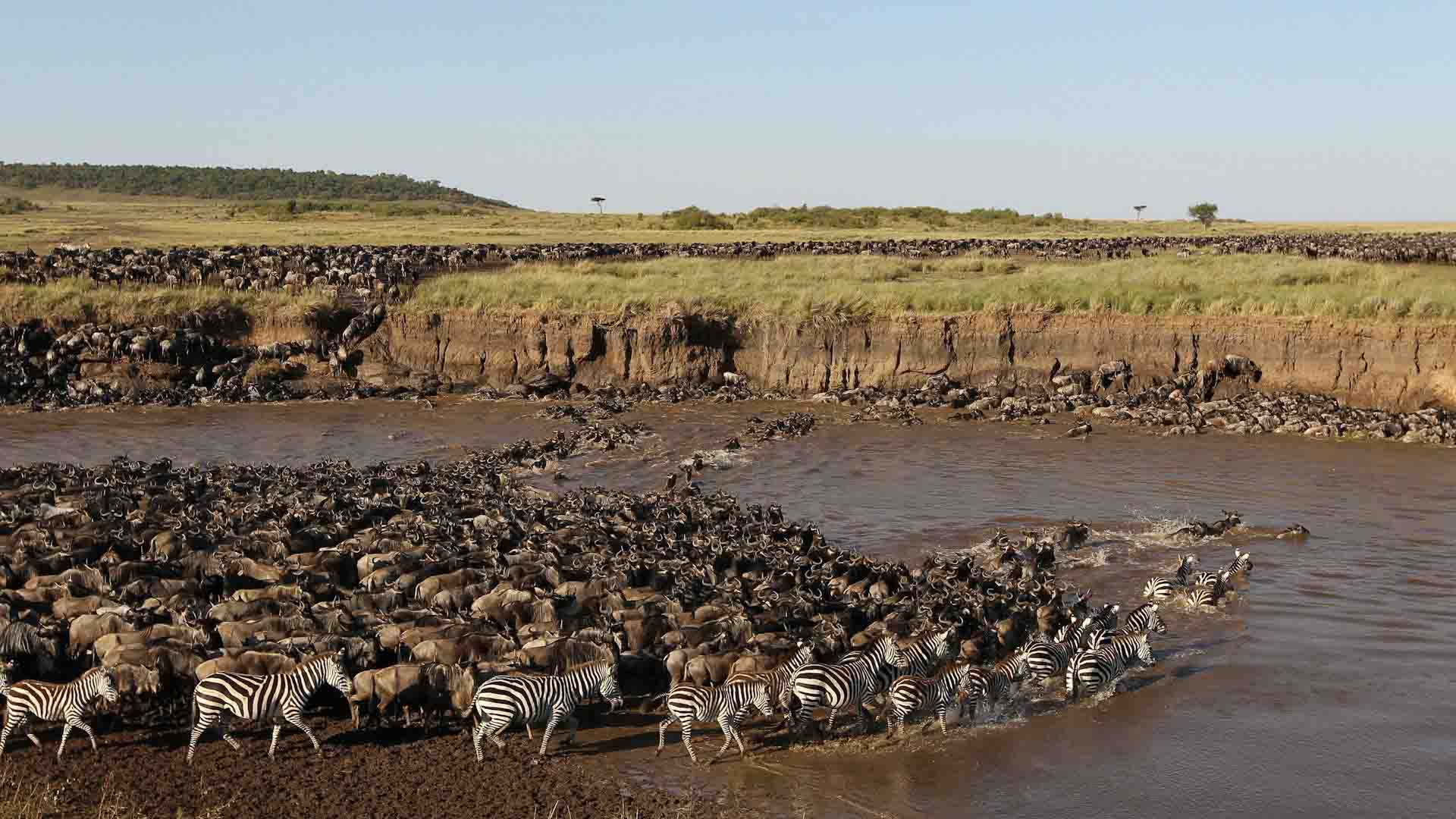 7 Days North Migration Safari - Serengeti and Ngorongoro Crater