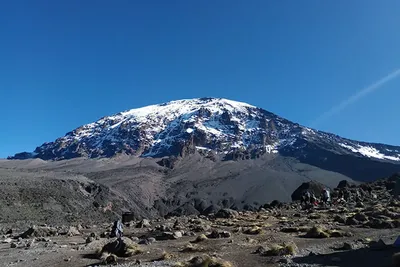9 Day Kilimanjaro Trekking Tour Northern Circuit