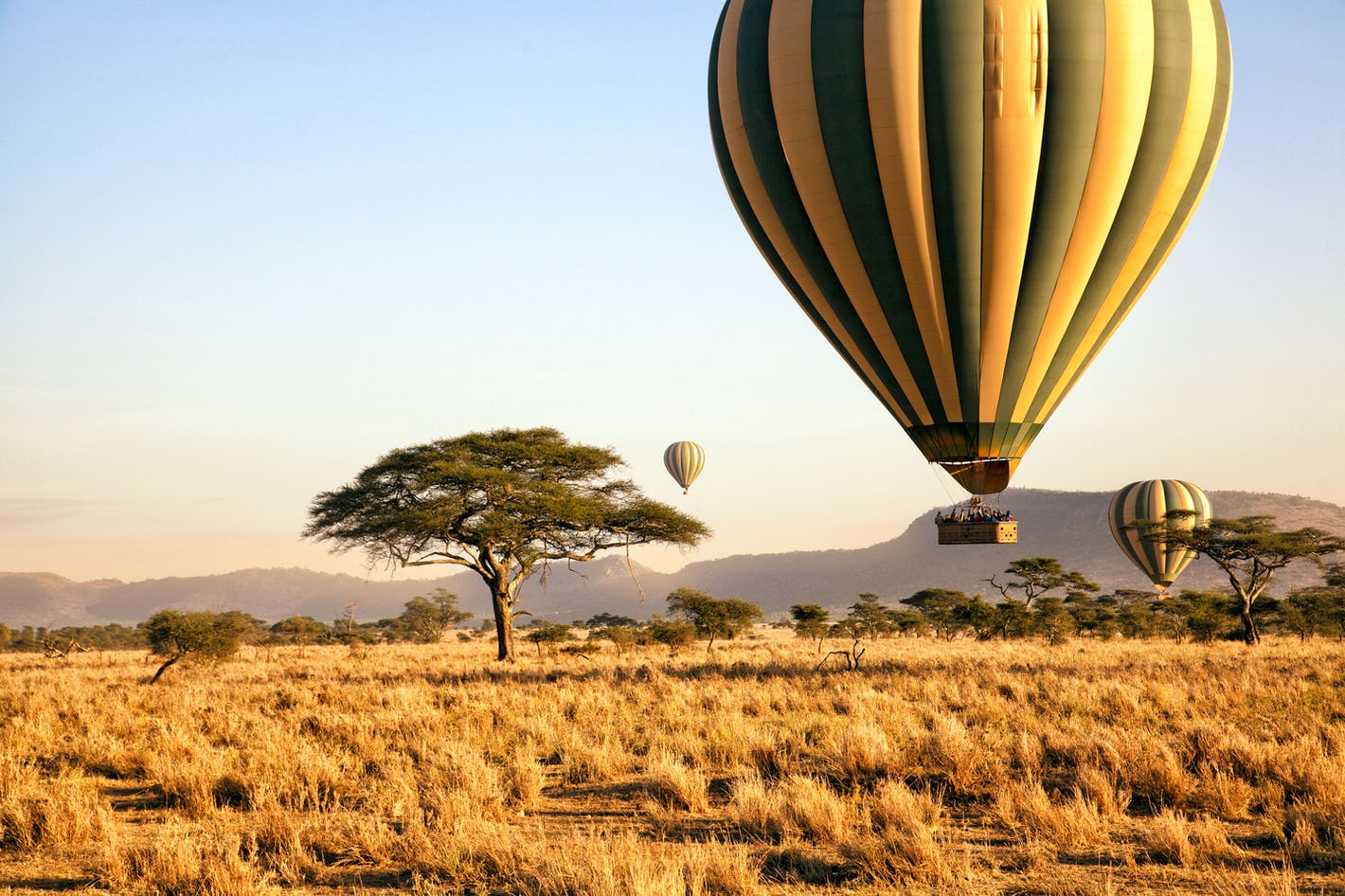 Balloon Safari Experience