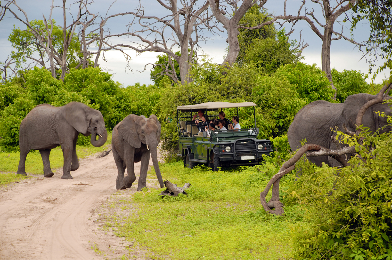 Big Five Tanzania Safari Experience