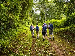 Day Hike Mount Kilimanjaro via Marangu Route