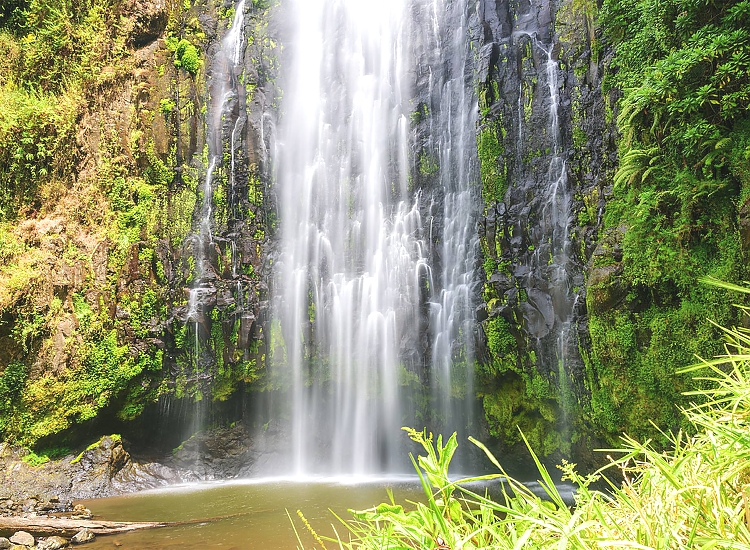 Materuni Coffee Tours  and waterfall