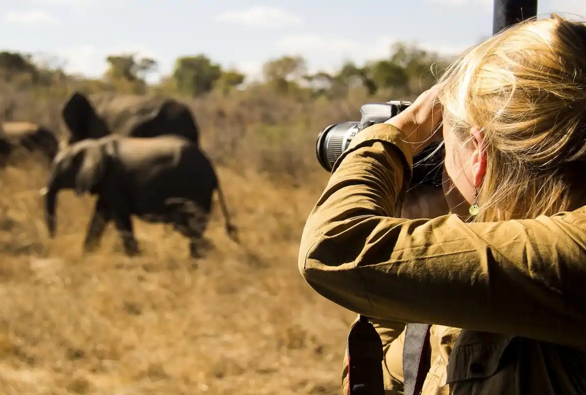 Photographic Safari Experience