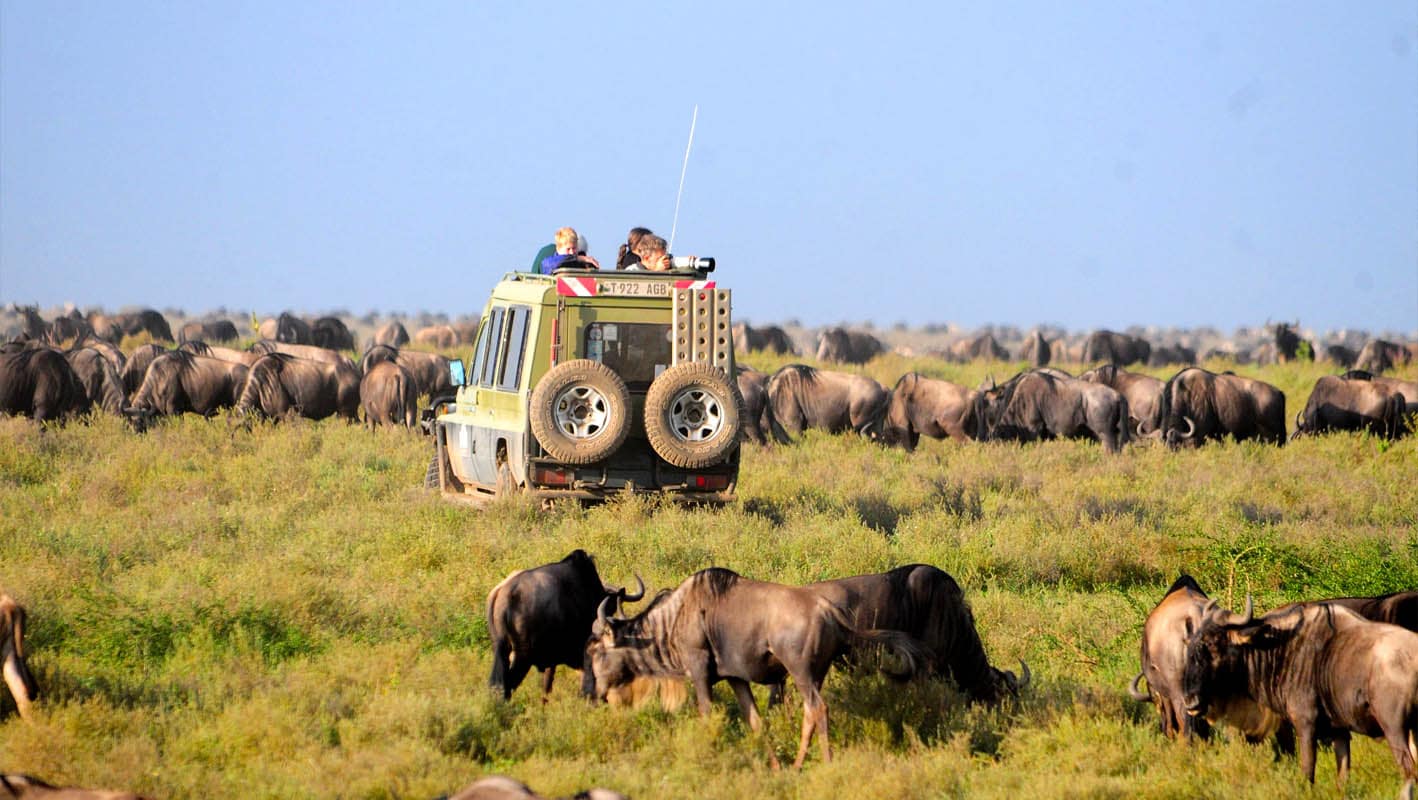 Tanzania Day Trips from Arusha Guide