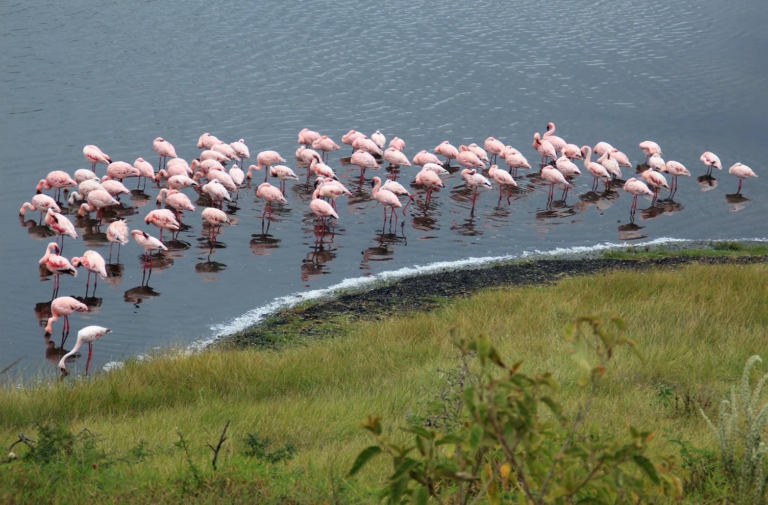 Tanzania Day Trip Arusha National Park