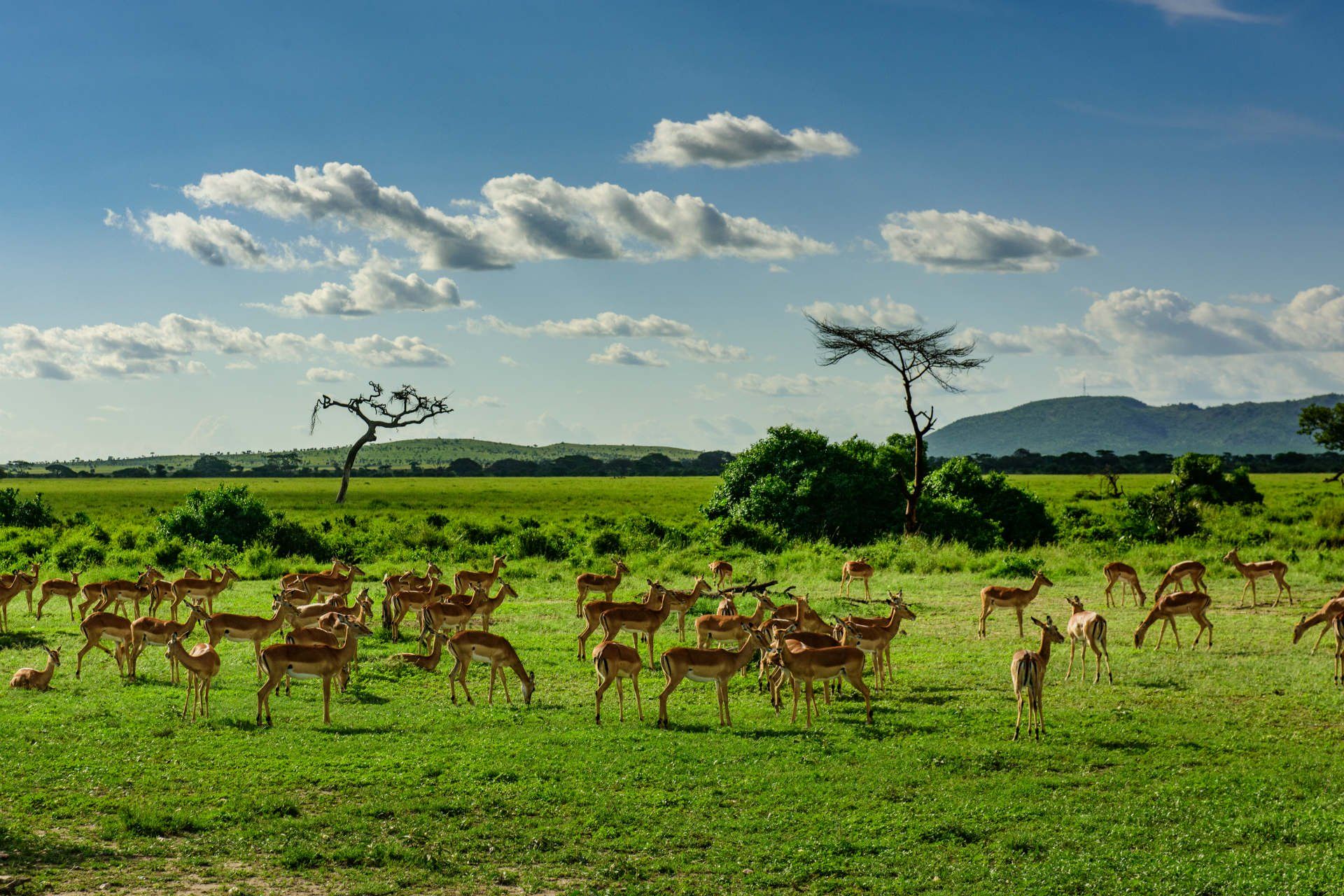 Tanzania Day Trips