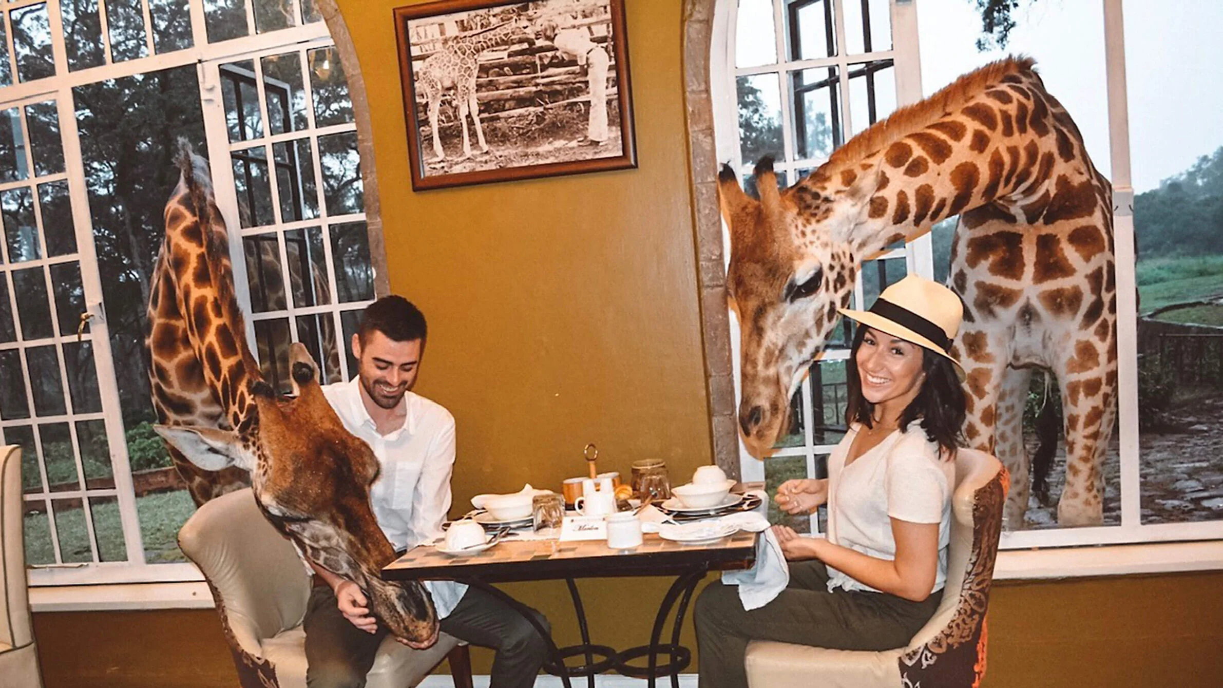 Tanzania Honeymoon Safari Guide