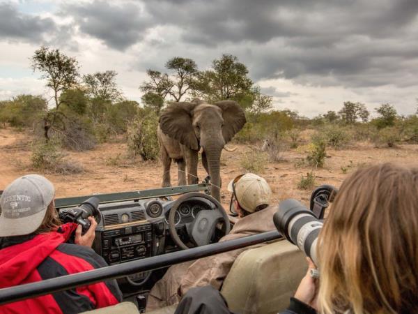 Tanzania Wildlife Photography Safari Guide