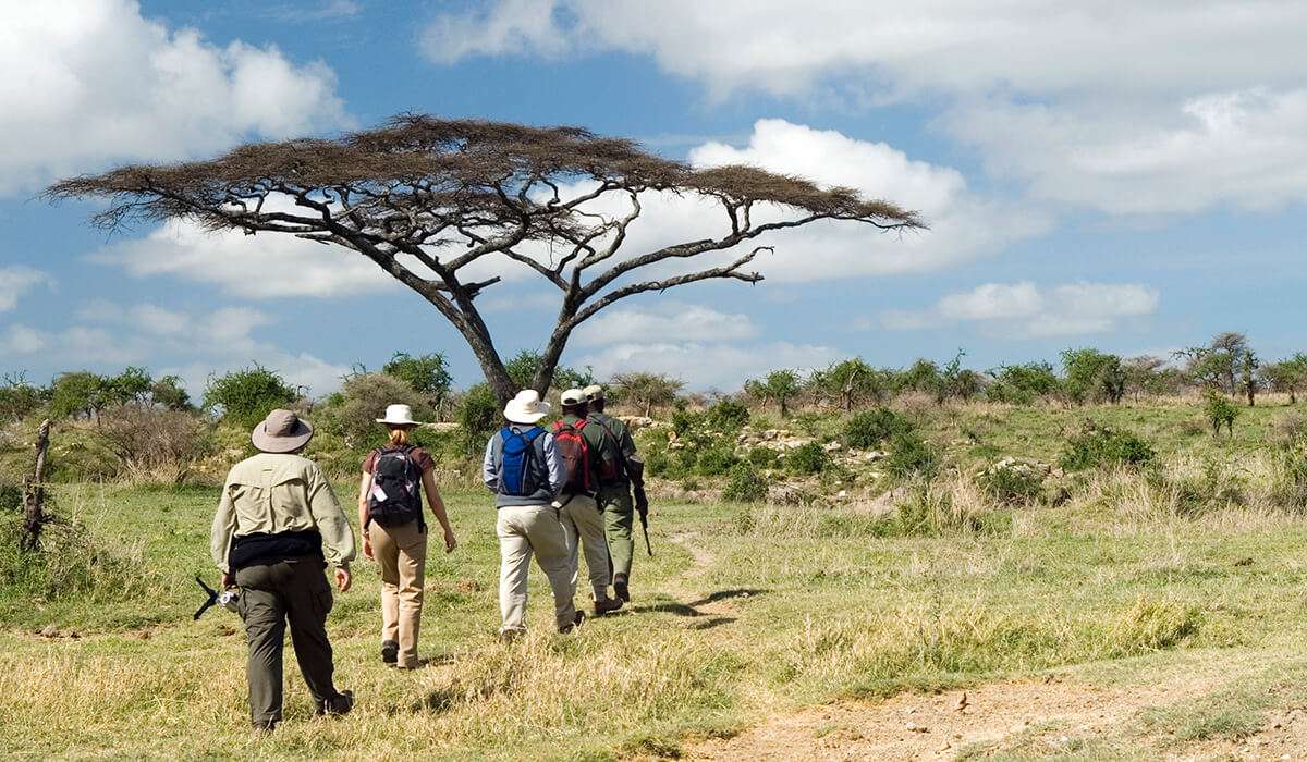 Walking Safari Experience