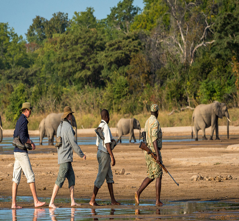 Walking Safari Tanzania Complete Guide