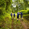 Climbing-Kilimanjaro-Marangu-Route