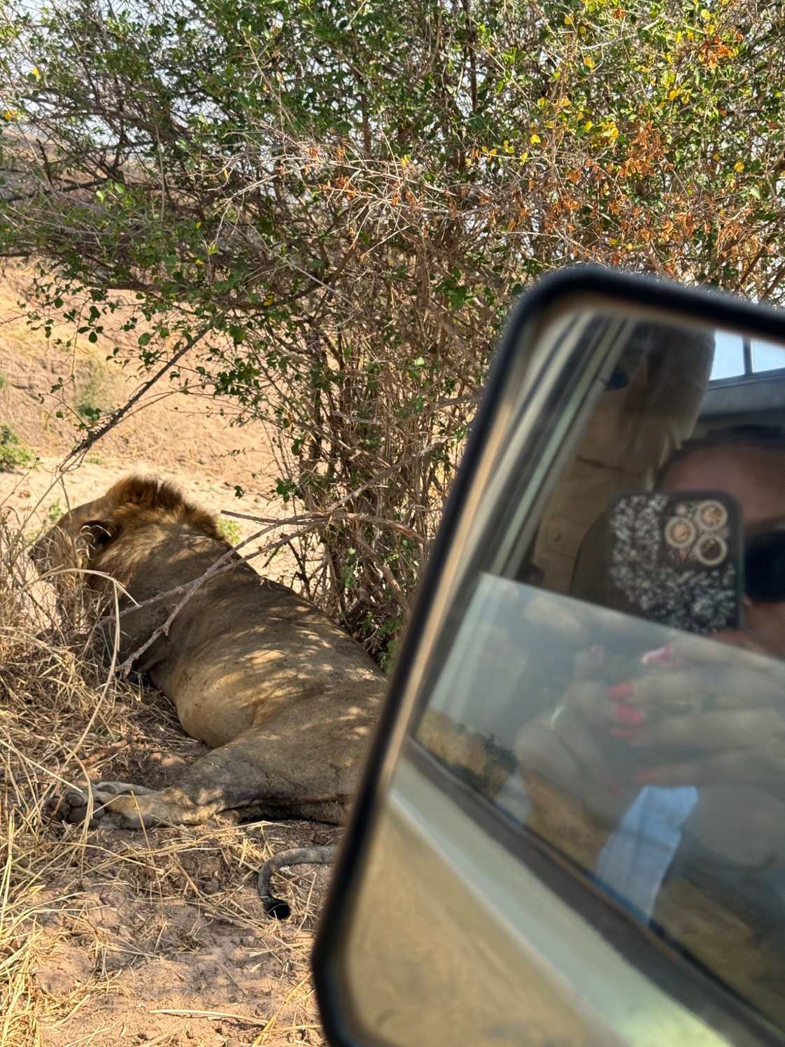 4 Day Tarangire, Serengeti and Ngorongoro Private Safari
