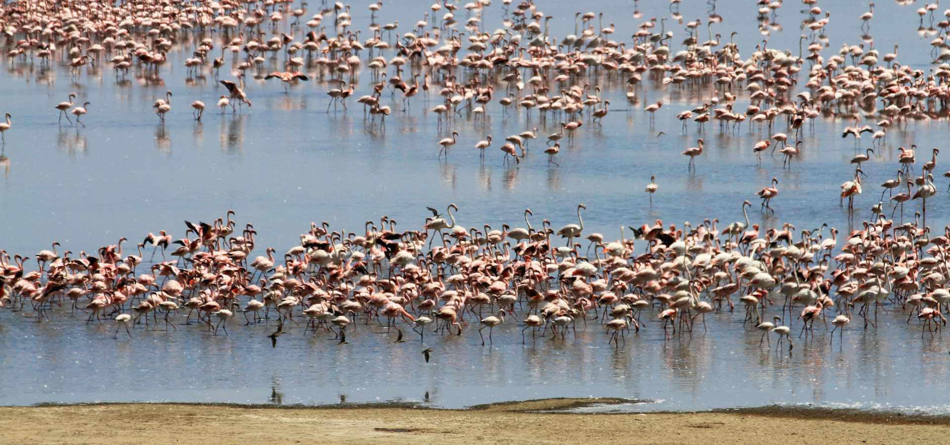 Lake Manyara below the Rift Valley