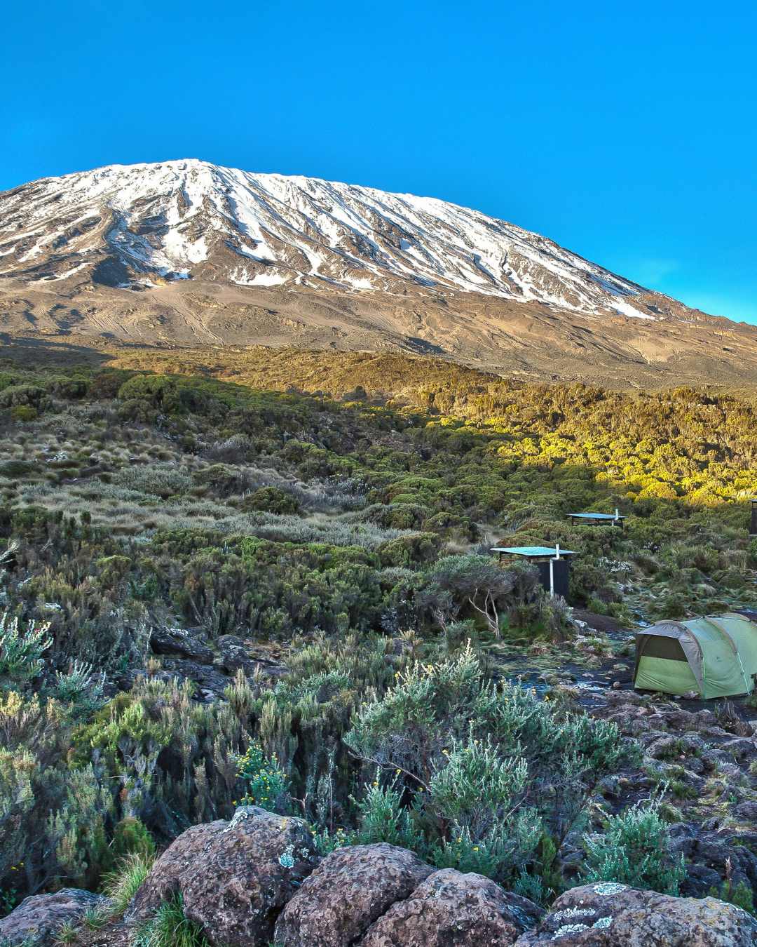 7 Days Umbwe Route Kilimanjaro with Serengeti Wild Tours