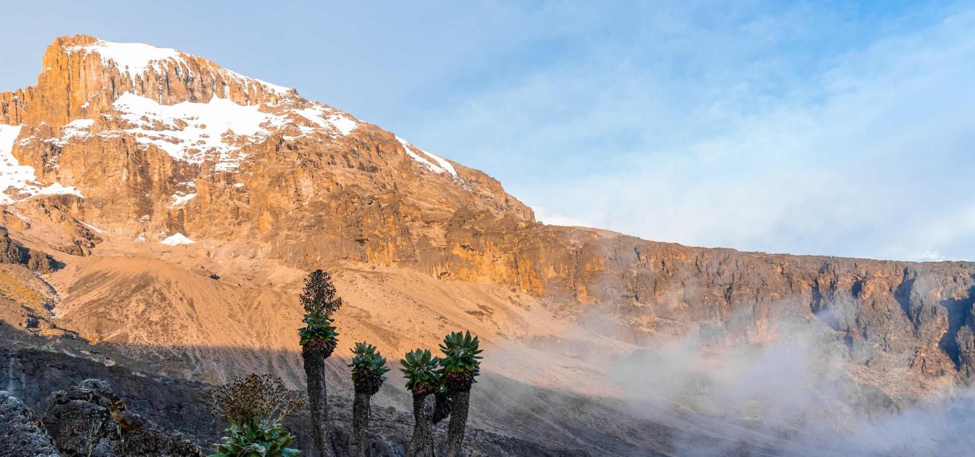 8 Days Lemosho Route Kilimanjaro with Serengeti Wild Tours