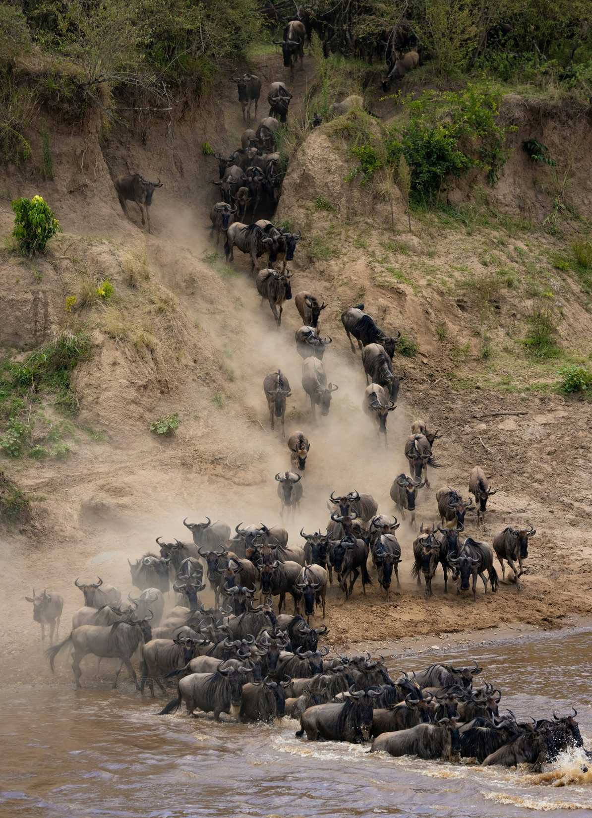 14 Day Great Migration Honeymoon Safari and Zanzibar